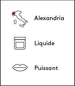 CHATAIGNIER_SMALL_02