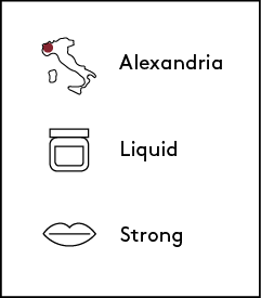 CHATAIGNIER_SMALL_EN