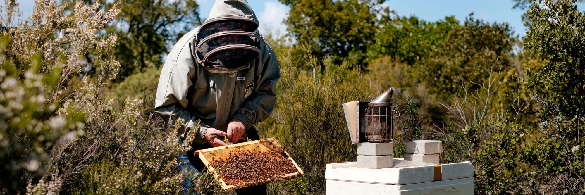 apiculteur français